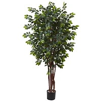 7ft. Potted Sakaki Silk Tree