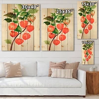 Designart - A Branch of Red Physalis