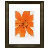 Timeless Frames® Tiger Lily in Bloom Framed Print Wall Art