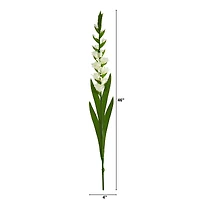 White Gladiolus Flower Stems, 3ct.