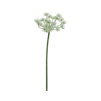 Queen Anne's Lace Spray