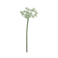 Queen Anne's Lace Spray