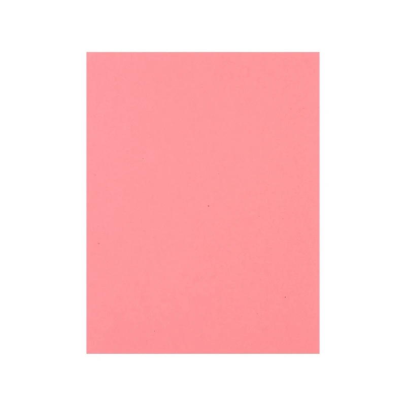 12 Packs: 50 ct. (600 total) Flamingo 8.5" x 11" Cardstock Paper by Recollections™