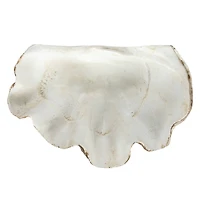 Hello Honey® 14.25" Decorative Clam Wall Bowl