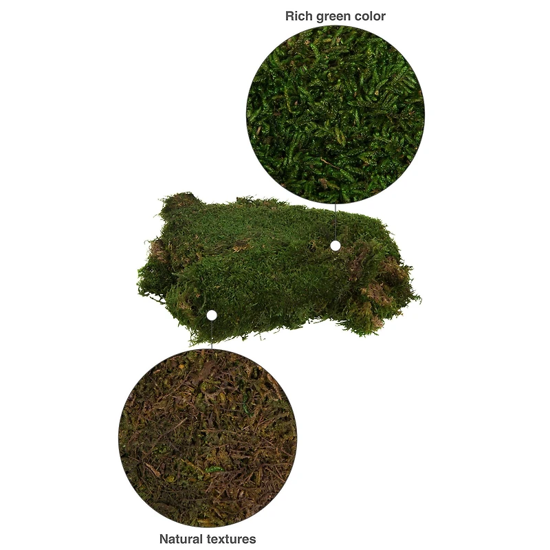 Preserved Green Sheet Moss Bag