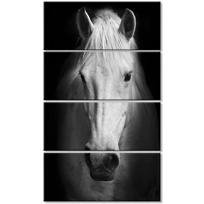 Designart - White Horse Black and White