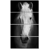 Designart - White Horse Black and White