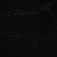 Richloom 12 Gauge Translucent Vinyl Fabric