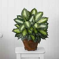 22" Green Triple Golden Dumb Cane Plant with Wood Vase