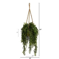 4.5ft. Honey Locust Plant Hanging Basket