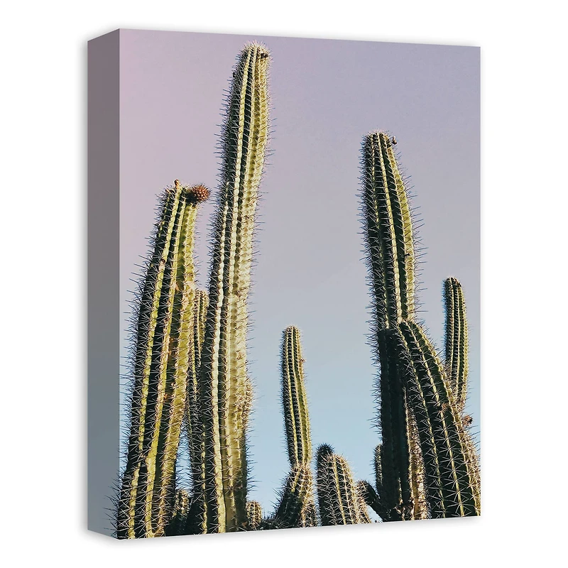 Tall Cactus 12" x 16" Canvas Wall Art
