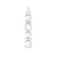 Silver Plated Year Charm by Bead Landing