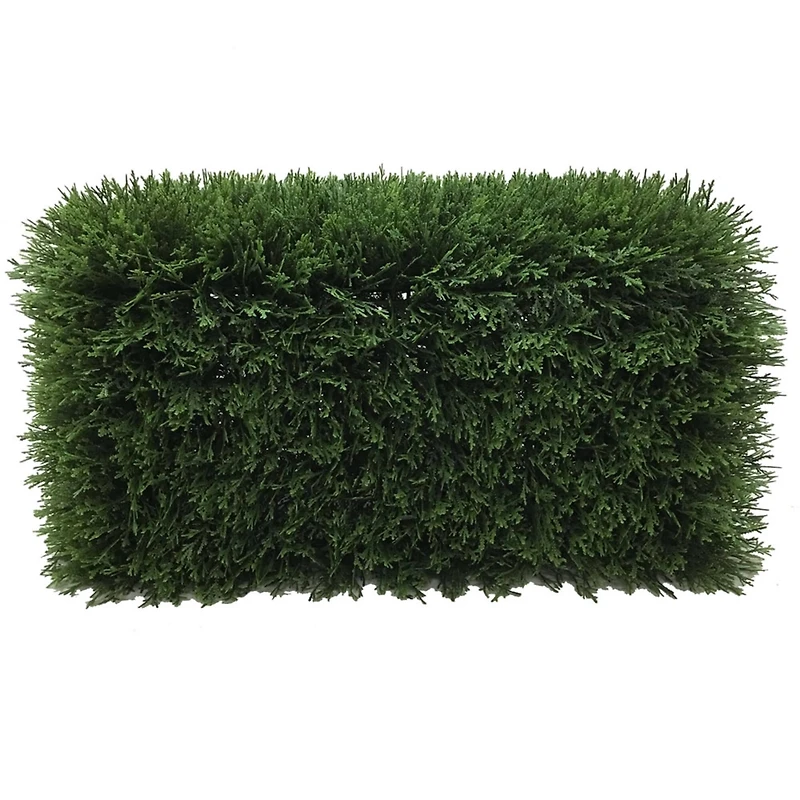 2ft. Green Cedar Hedge