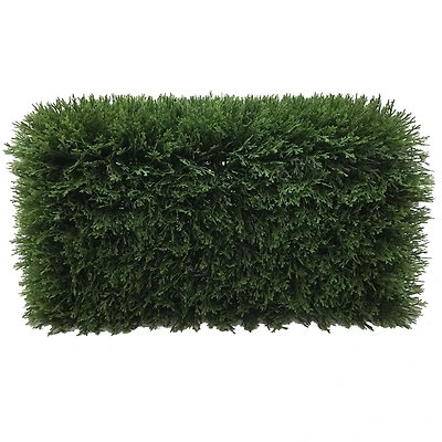 2ft. Green Cedar Hedge