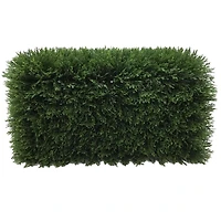 2ft. Green Cedar Hedge