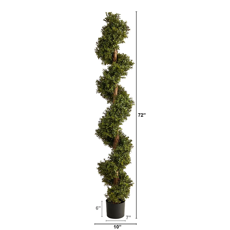 6ft. Potted Spiral Boxwood Topiary Tree
