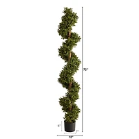 6ft. Potted Spiral Boxwood Topiary Tree
