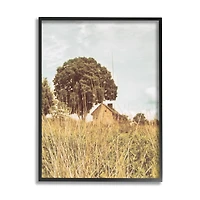 Stupell Industries Countryside Farm Meadow Tall Grass Summer Landscape Photography Framed Wall Art
