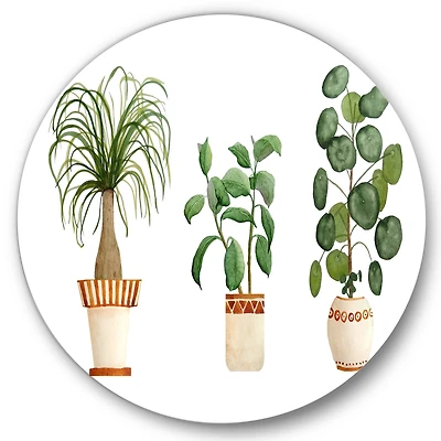 Designart - Trio of House Plants Ponytail Palm and Ficus