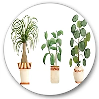 Designart - Trio of House Plants Ponytail Palm and Ficus