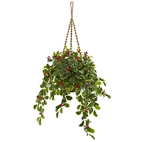 3ft. Variegated Holly with Berries Plant in Hanging Basket
