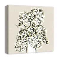 Design Directs Monstera Drawing Canvas Wall Art