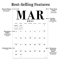 TF Publishing Medium 2025 Art Poster Wall Calendar