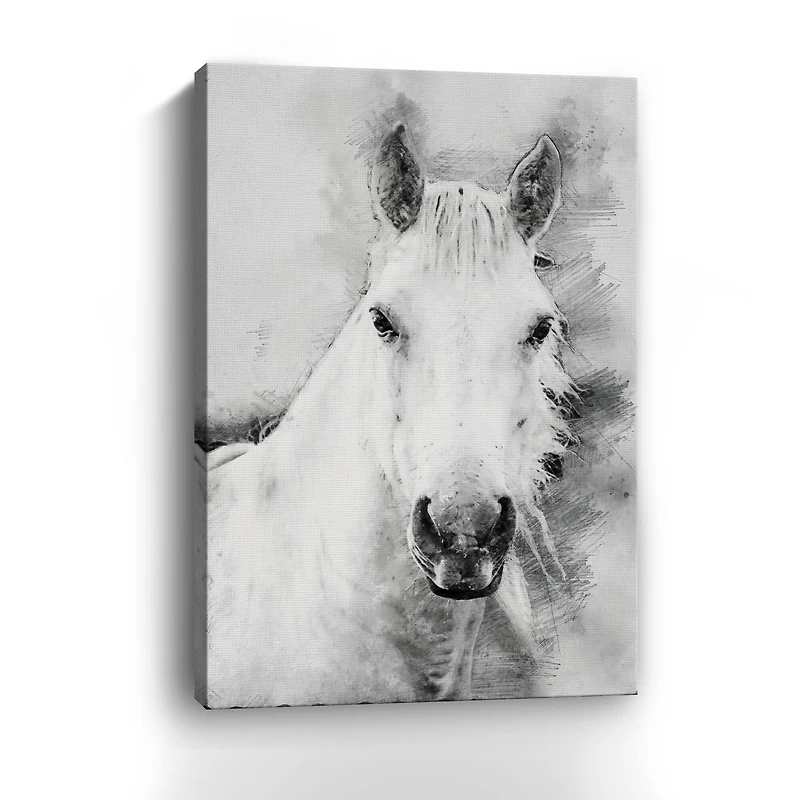 Cama A Pale Horse Canvas Giclee
