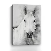 Cama A Pale Horse Canvas Giclee