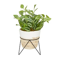 The Novogratz 16" Potted Green Rattan Coastal Artificial Foliage
