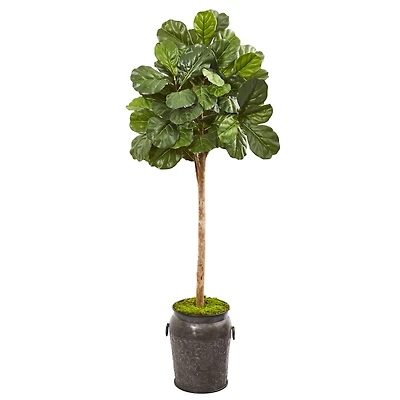 6ft. Fiddle Leaf Fig Tree in Metal Planter