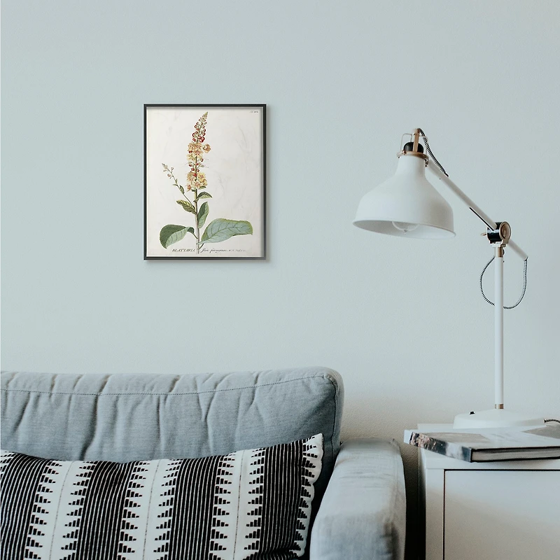 Stupell Industries Botanical Flower Framed Wall Art