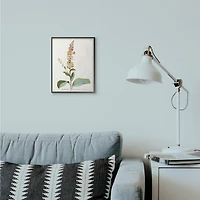 Stupell Industries Botanical Flower Framed Wall Art