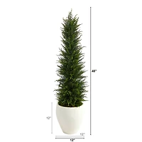 4ft. Cypress UV Resistant Artificial Tree in White Planter