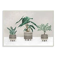 Stupell Industries Plants In Patterned Pots Neutral Grey Design Wall Plaque