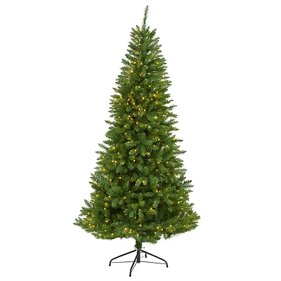 6.5ft. Pre-Lit Green Valley Fir Artificial Christmas Tree with Clear LED Lights