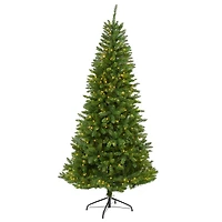 6.5ft. Pre-Lit Green Valley Fir Artificial Christmas Tree with Clear LED Lights