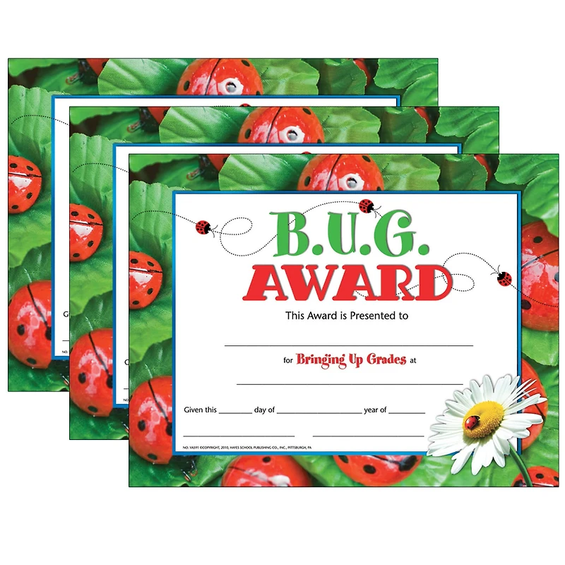 Hayes® B.U.G. Award, 3 Packs of 30