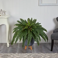2.5ft. Boston Fern in Gray Planter with Legs