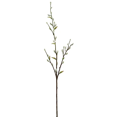White & Green Pussy Willow Stem