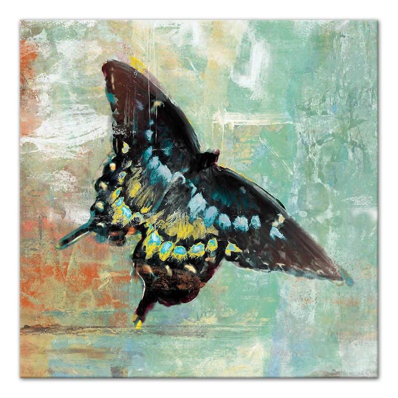 Tranquil Butterfly 24" x 24" Canvas Wall Art