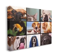 Stupell Industries Animal Video Chat Meeting Canvas Wall Art
