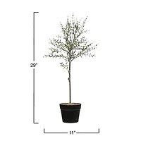 Hello Honey® 29" Potted Thyme Topiary Tree