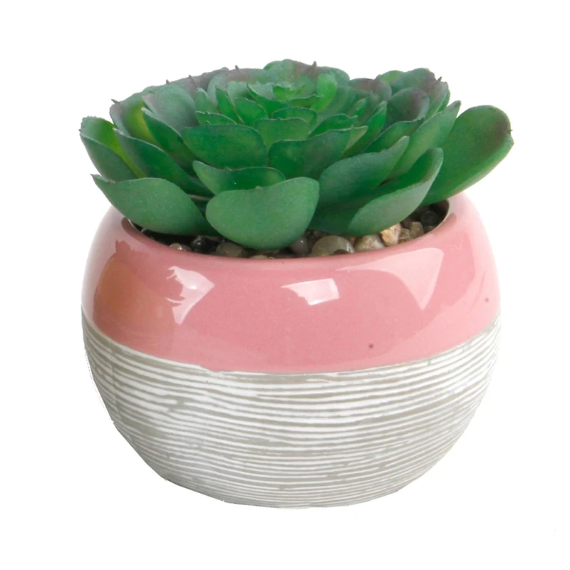 Flora Bunda® Succulent In Two Tone Lines Pattern Pink Ceramic Pot 