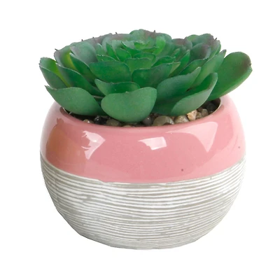 Flora Bunda® Succulent In Two Tone Lines Pattern Pink Ceramic Pot