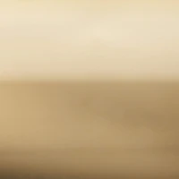 Cricut® Martha Stewart Gala Rose Mixed Materials