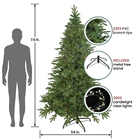 7.5ft. Pre-Lit Real Touch™ Birch River Fir Artificial Christmas Tree, Clear Lights