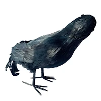 7.5" Iridescent Black Crow by Ashland®