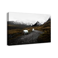Herd Travel Canvas Wall Art