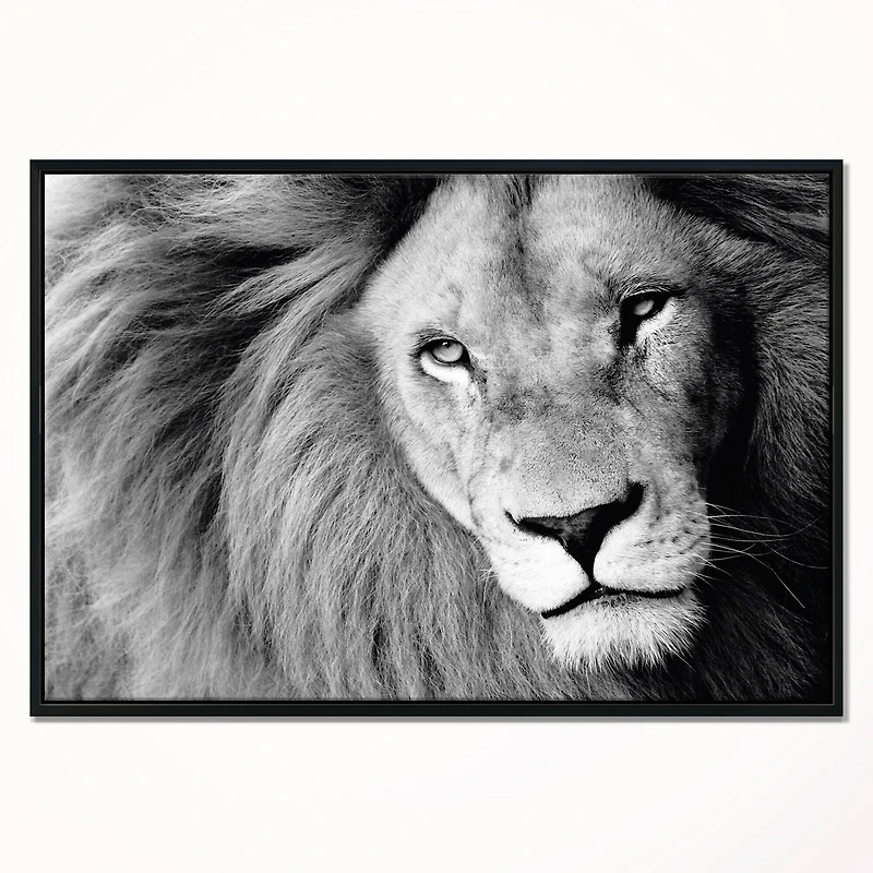 Designart - Lion Head in Grey